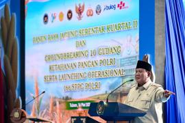 Presiden Prabowo Subianto
