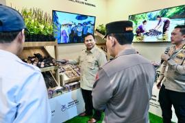 Panen Raya Jagung Bersama Presiden Prabowo, Petani Optimistis Swasembada Pangan Tercapai