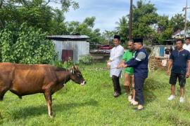  Kapolresta Bengkulu Berbagi Hewan Kurban untuk Masyarakat