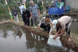 Dukung Ketahanan Pangan, Bhabinkamtibmas Polsek Lebong Selatan Dampingi Pelepasan 5.000 Bibit Ikan Nila