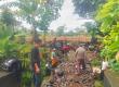 Warga Turan Tingging Patungan Perbaiki Jalan Usaha Tani yang Rusak Sejak 2008